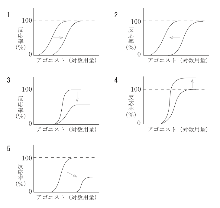 解説画像